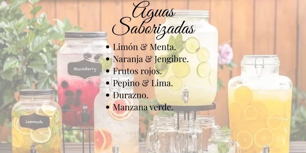 aguas saborizadas final